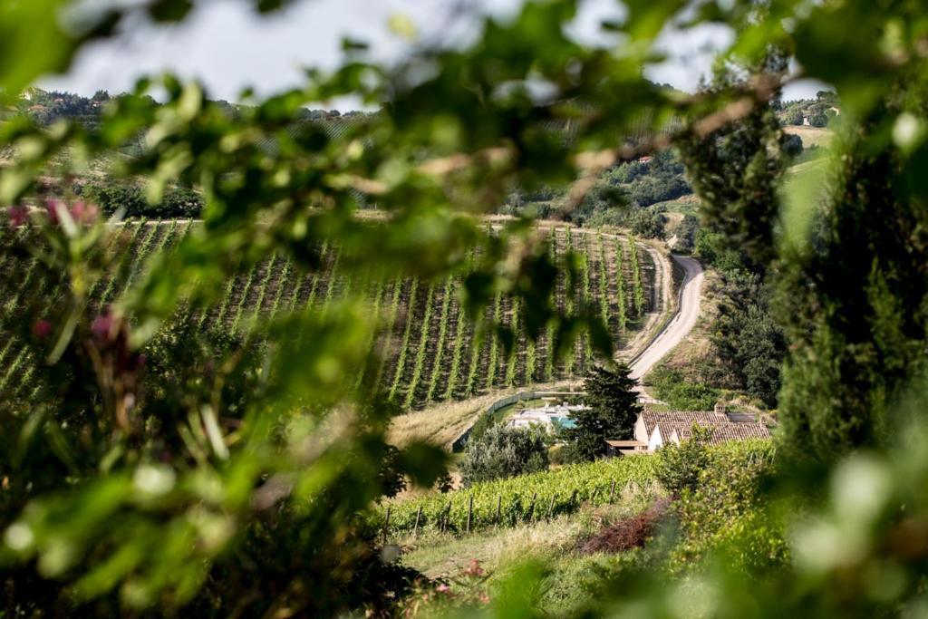 Casali Costadoro Acquaviva Picena Bagian luar foto