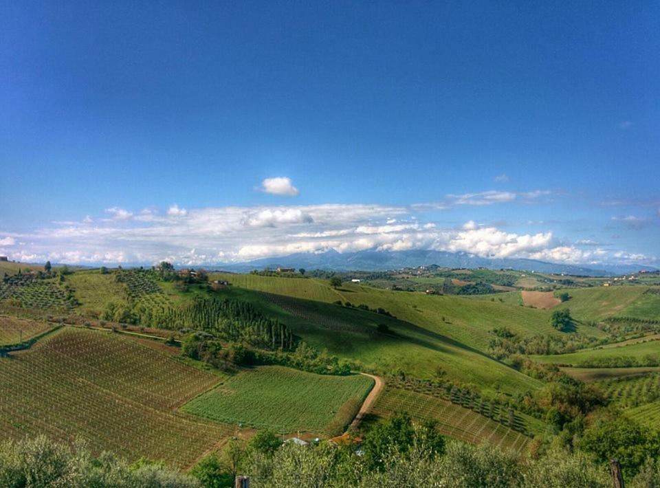 Casali Costadoro Acquaviva Picena Bagian luar foto
