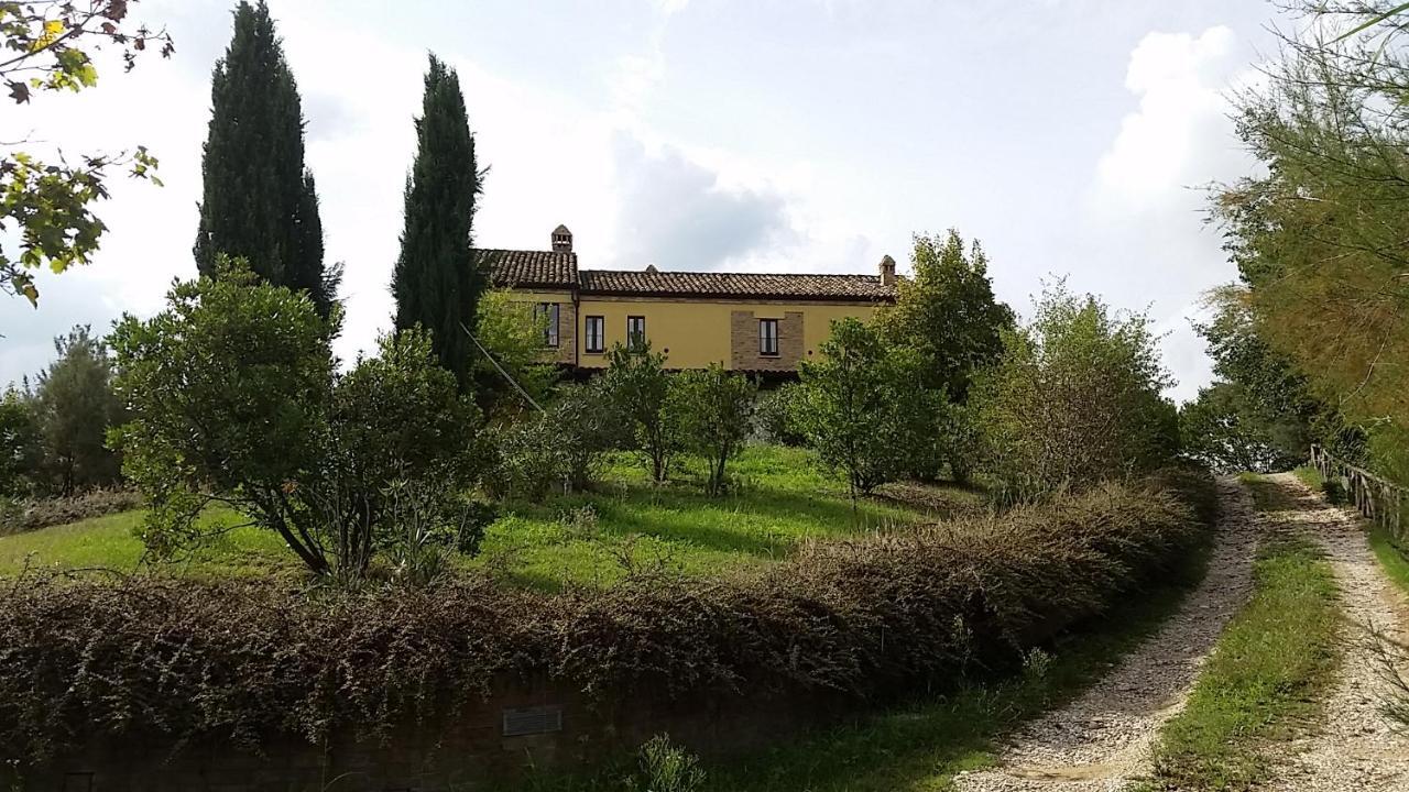 Casali Costadoro Acquaviva Picena Bagian luar foto